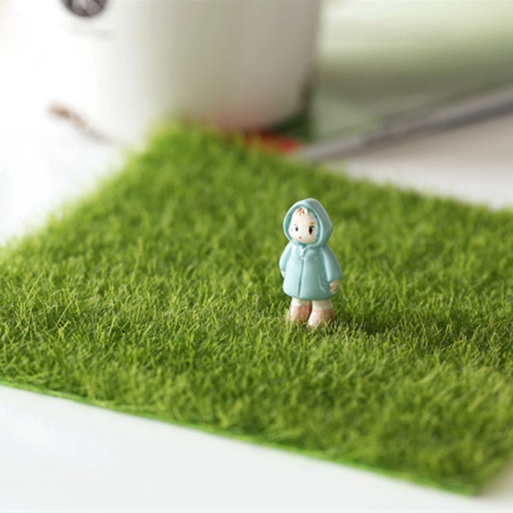 Decoración Ecológica para Jard - Terrarium Moss Art reseña y precio
