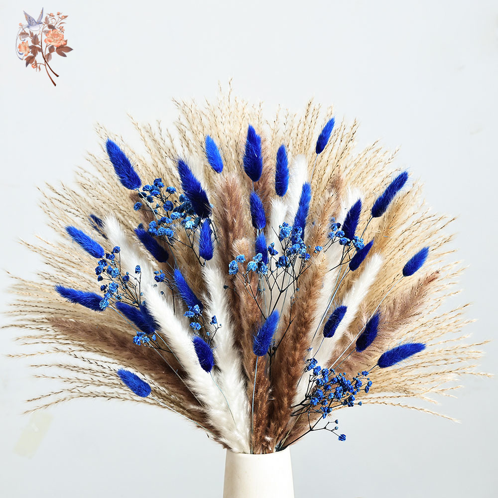Cola de conejo esponjosa azul  - Dried Flower Bulk reseña y precio