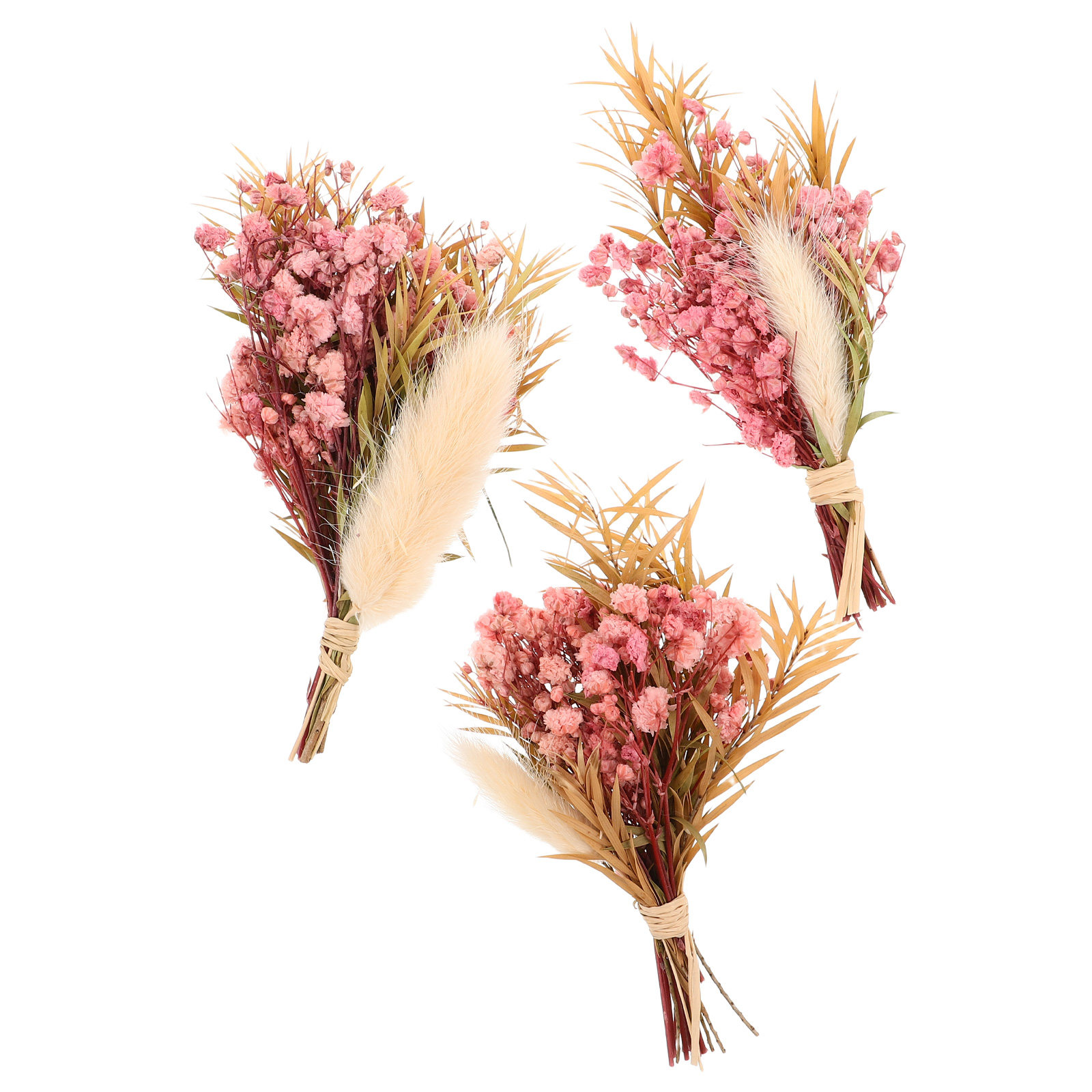 Juego de 3 Mini Ramos de Flore - Dried Flower Bulk reseña y precio