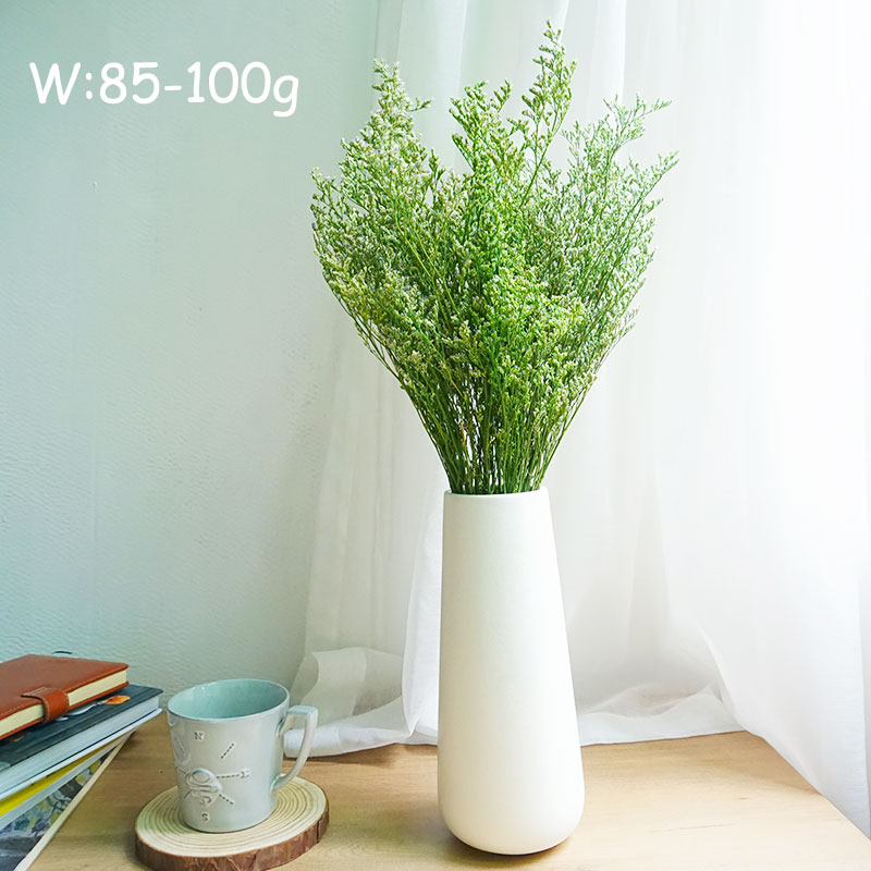 50g/Flor de Limonium Preservad - Dried Flower Bulk reseña y precio