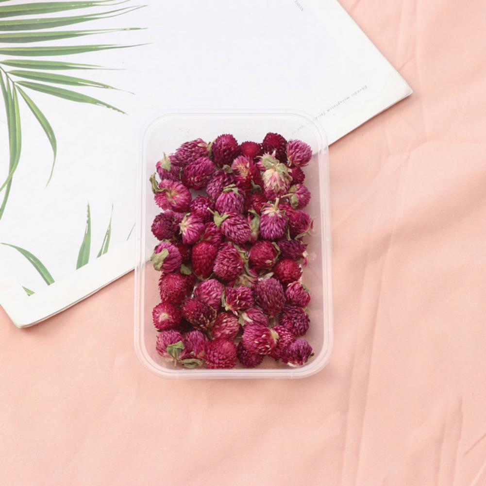 Kit de flores secas naturales  - Dried Flower Bulk reseña y precio