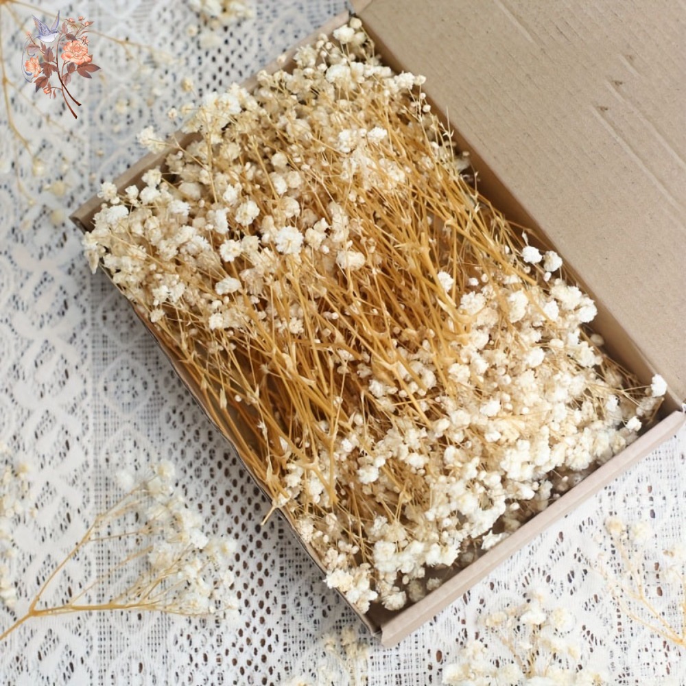 100 Piezas de Flores Secas de  - Resin Craft Ideas reseña y precio