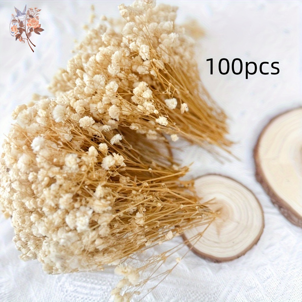 100 Piezas de Flores Secas de  - Resin Craft Ideas reseña y precio